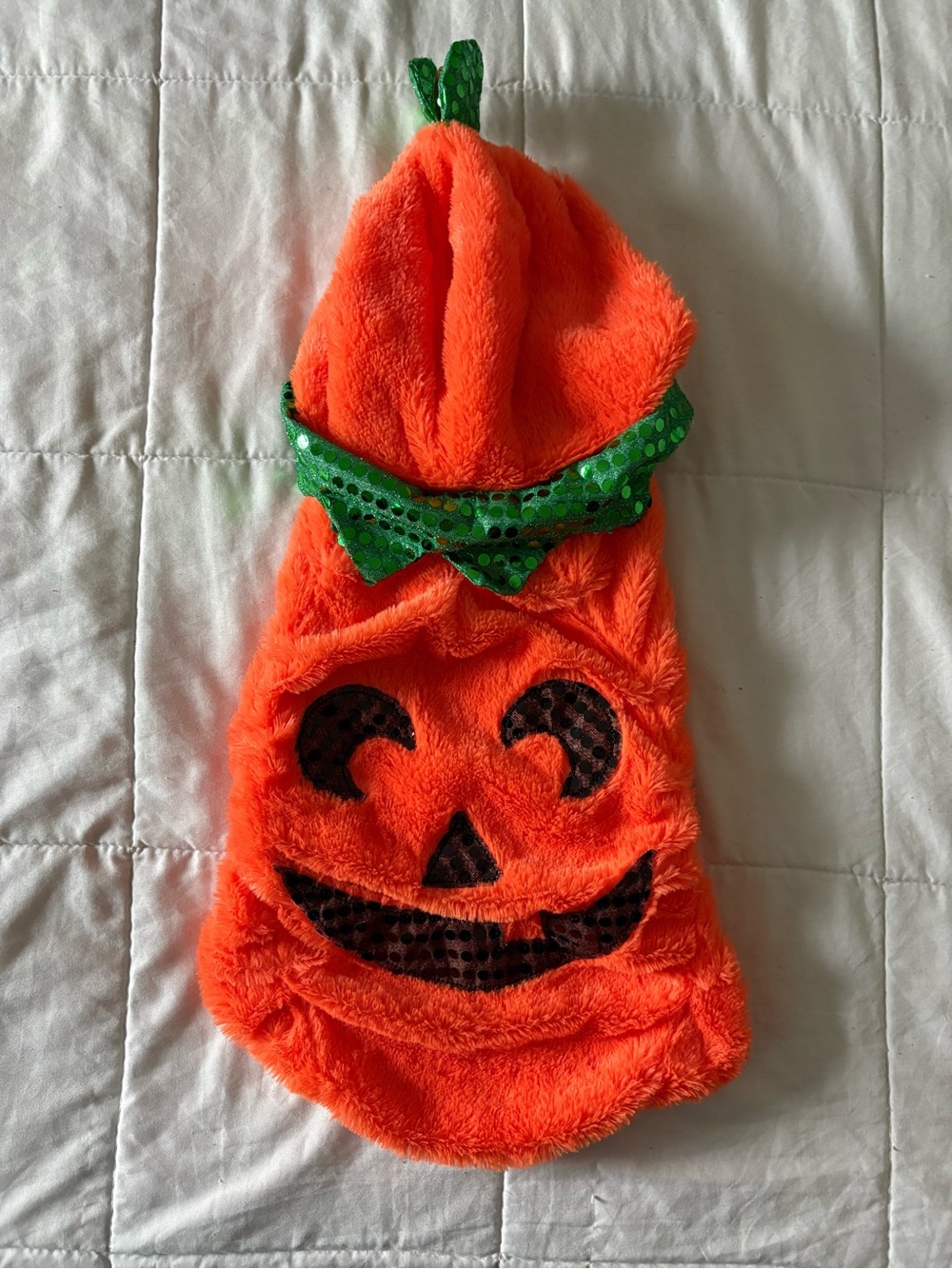 Small Dog/Large Cat Orange Pumpkin Costume w/ Velcro Straps